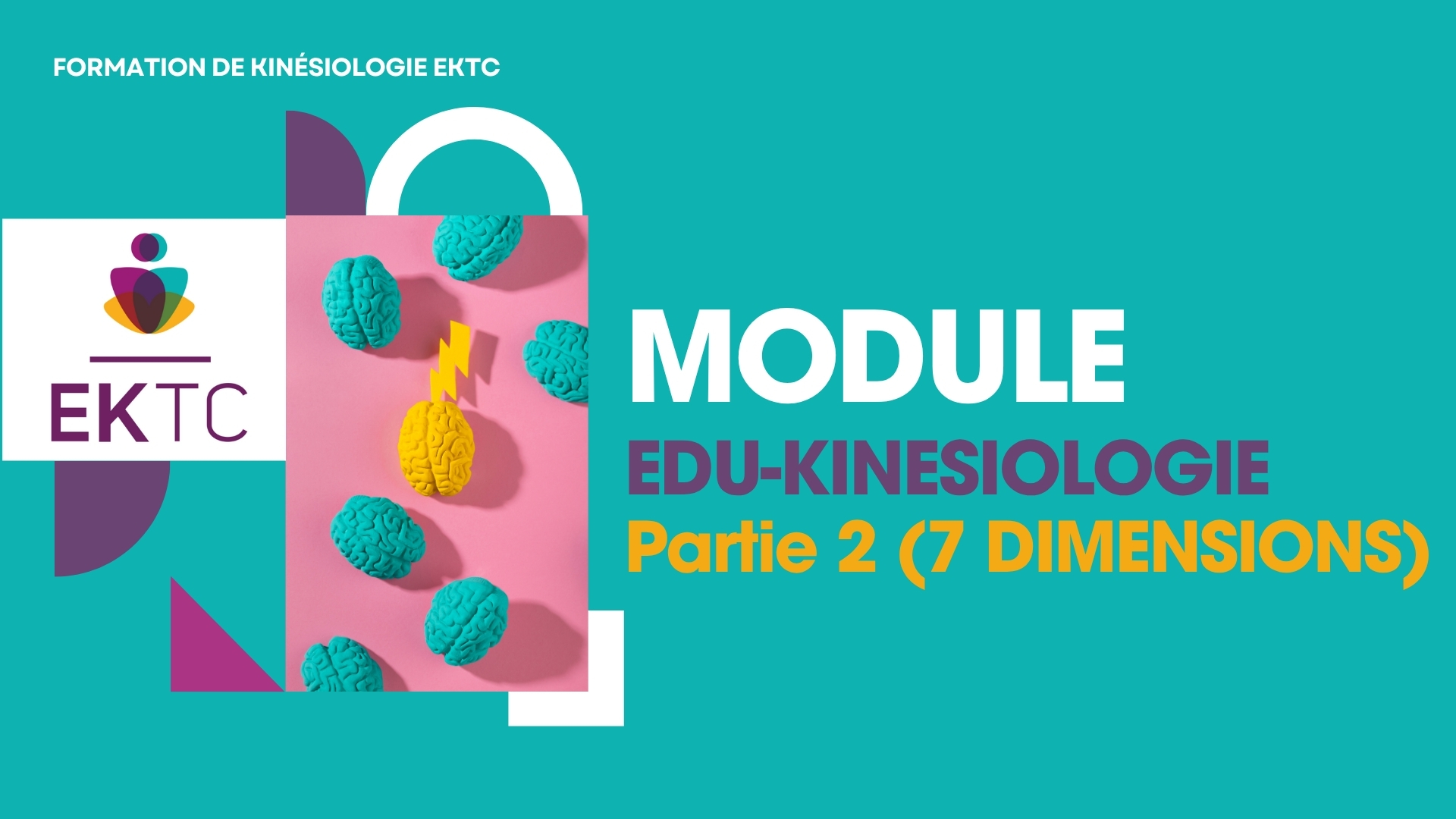 Edu-Kinésiologie – Partie 2 (7 Dimensions) Tarif : inclus dans le tarif global Edu-K