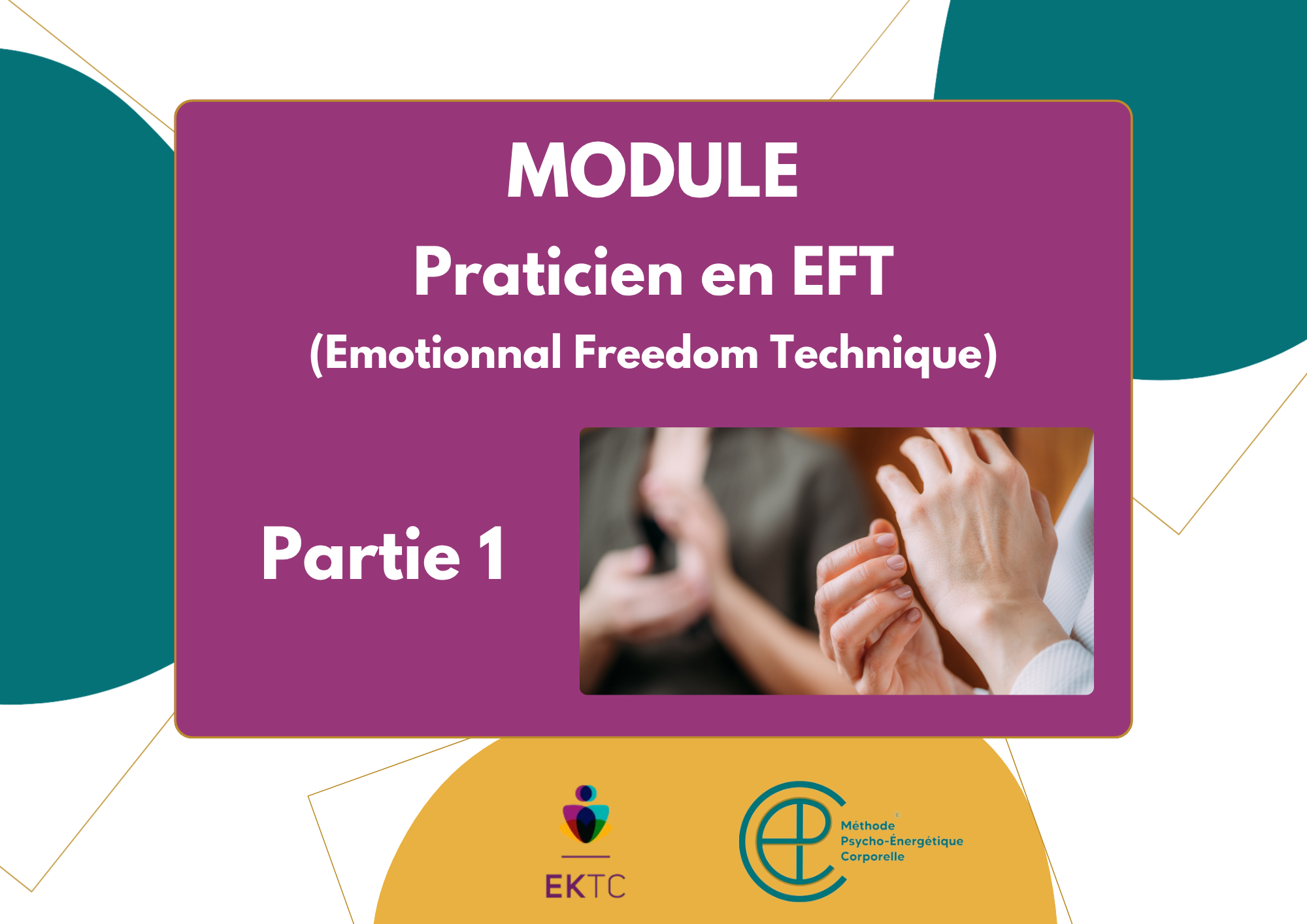 Praticien en EFT – Partie 1 – Tarif 605€