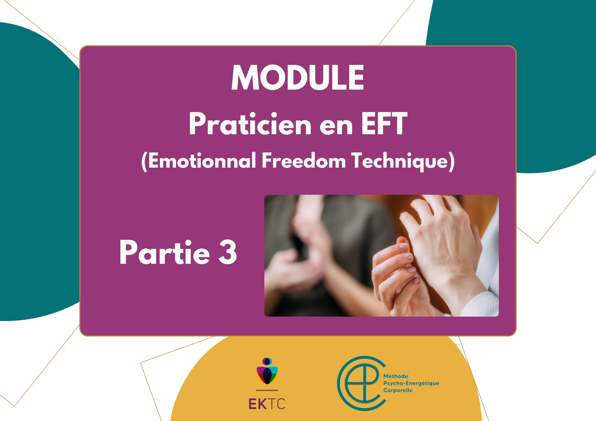 Praticien en EFT – Partie 3 – Tarif 605€