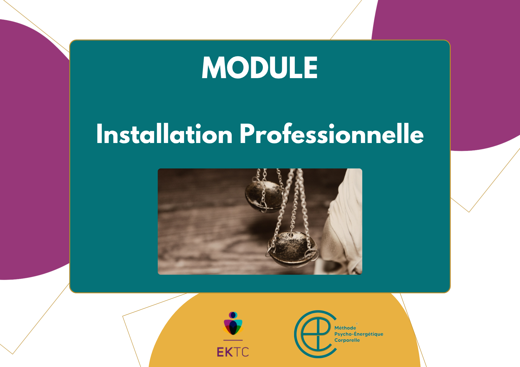 Installation Professionnelle – Tarif : 335€