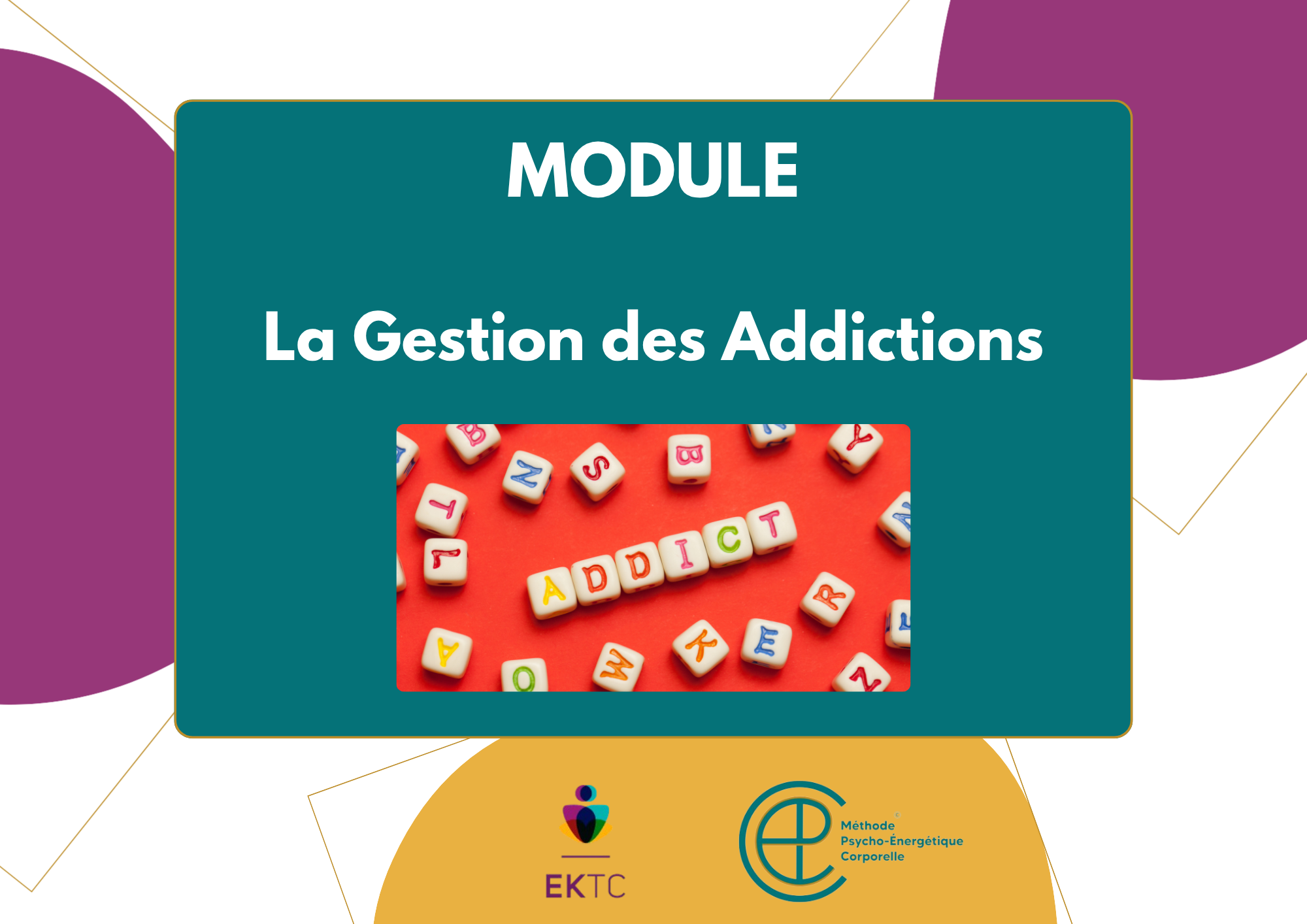 La gestion des Addictions – Tarif : 470€