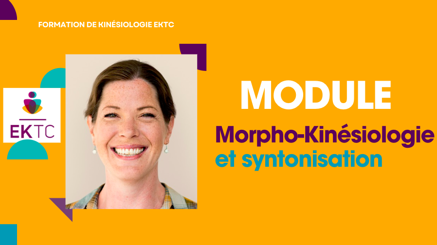 Morpho-Kinésiologie et syntonisation – Tarif global : 810 €