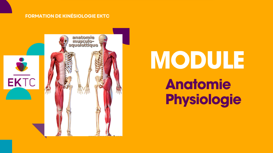 Anatomie Physiologie – Tarif 405€