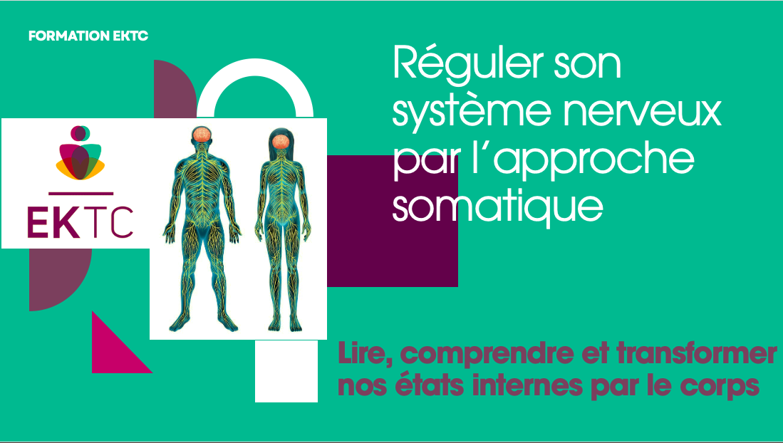 Réguler son système nerveux par l’approche somatique