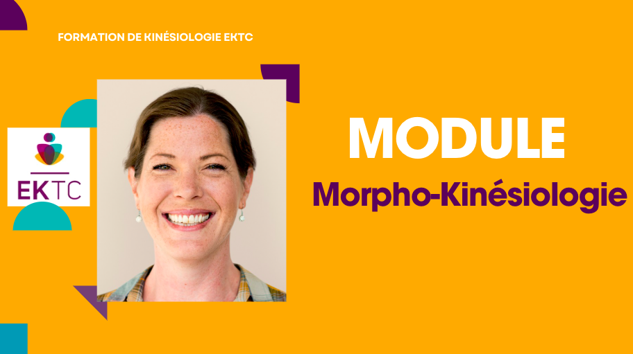 Morpho-Kinésiologie – Tarif global : 810 €
