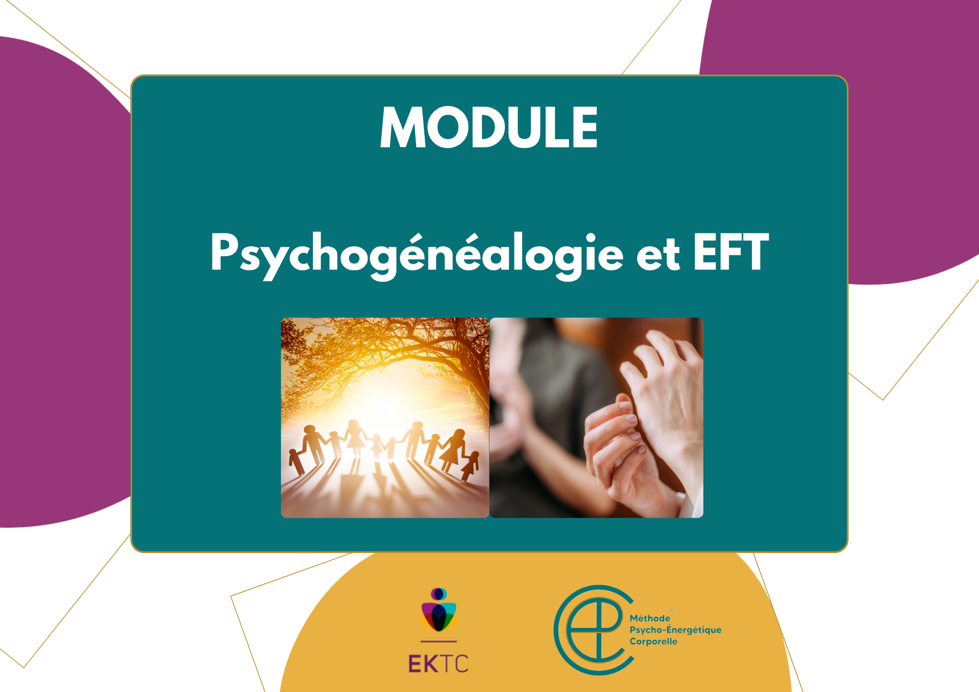 Psychogénéalogie et EFT – Tarif : 470€